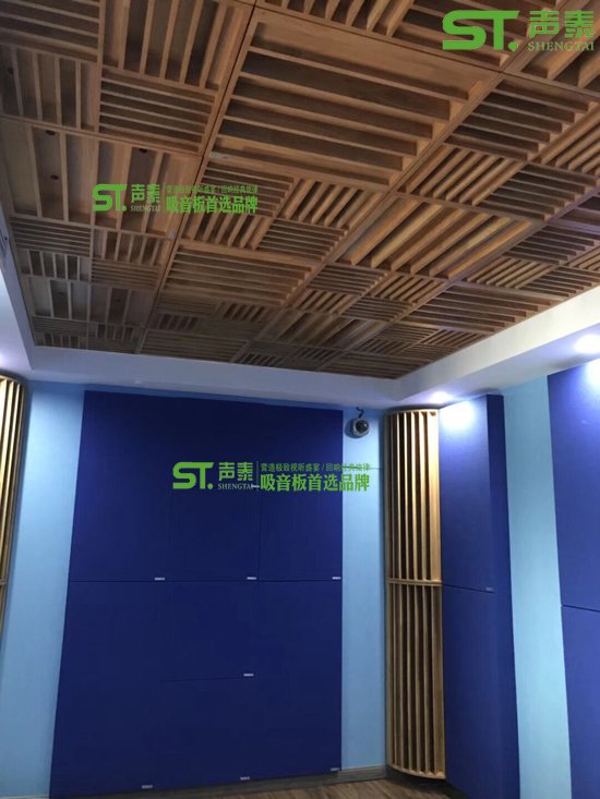 云南普洱家庭影院吸音擴散體案例(圖2) 云南普洱家庭影院吸音擴散體案例(圖2)